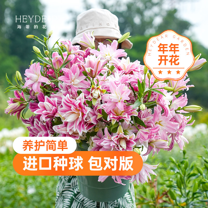 ���� ��LO������10/12(3��װ) ��ˮ�ذ�ٺϺ����׿���