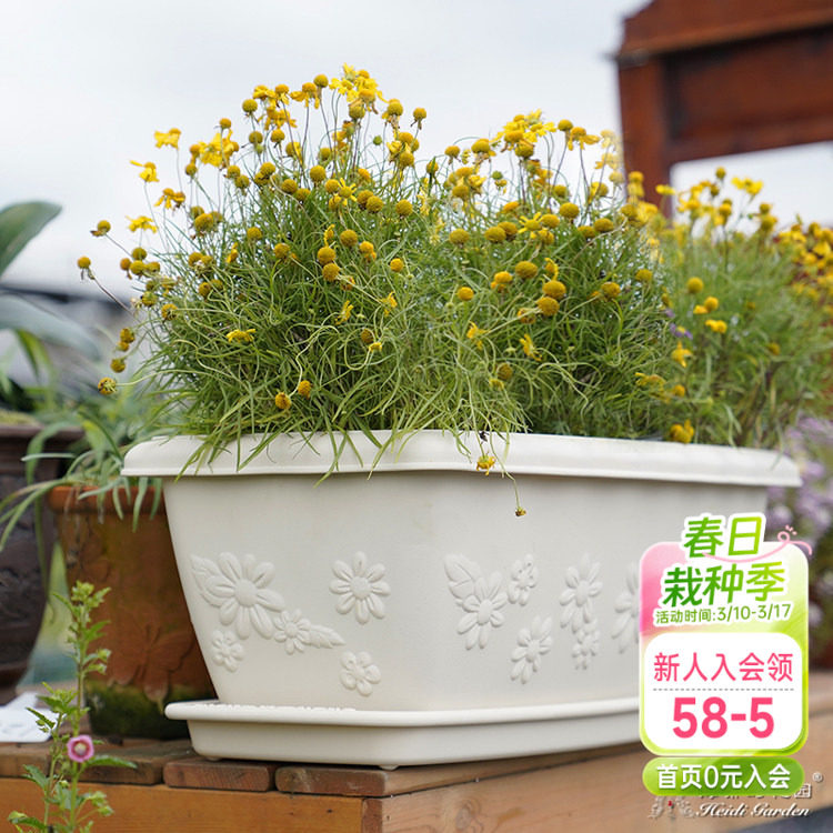 海蒂的花园花盆托盘爱丽思长条盆树脂园艺花盆托长方形底垫防漏水