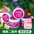 海蒂 花园磷酸二氢钾施奇水溶肥家用花卉盆栽通用磷钾肥促花肥料