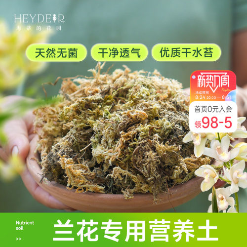 海蒂的花园水苔蝴蝶兰专用土兰花
