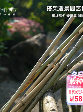 海蒂的花园 竹竿菜园蔬菜瓜果植物搭架支撑竿爬藤架园艺栏杆栅栏