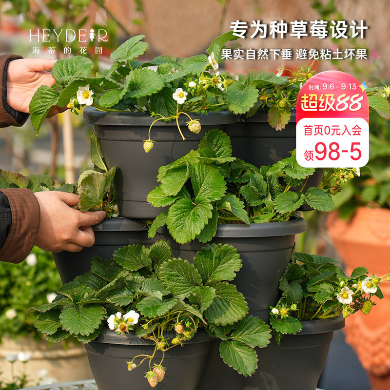 海蒂的花园环球星格尔组合盆种花种菜种草莓盆树脂创意立体花盆