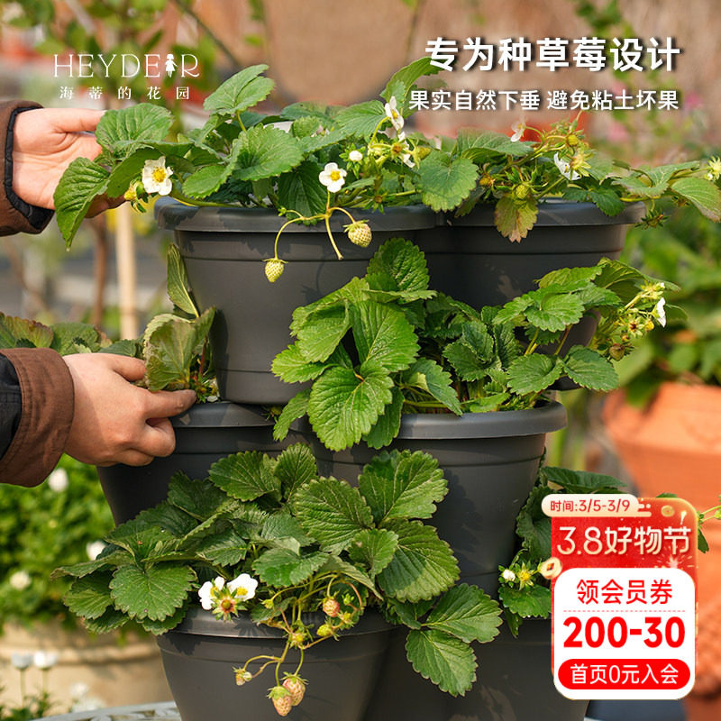 海蒂的花园环球星格尔组合盆种花种菜种草莓盆树脂创意立体花盆