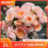 Садовая роза садовая роза, голубая дождливый дождливый дождь, лазание на виноградном соке балкон балкон розовый горшок