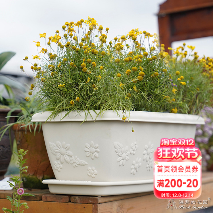 海蒂的花园花盆托盘爱丽思长条盆树脂园艺花盆托长方形底垫防漏水