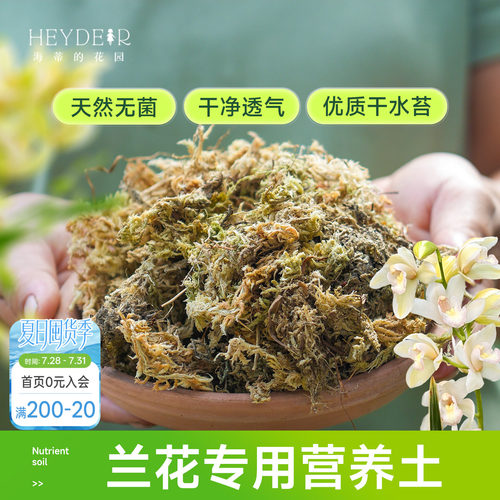 海蒂的花园水苔蝴蝶兰专用土兰花