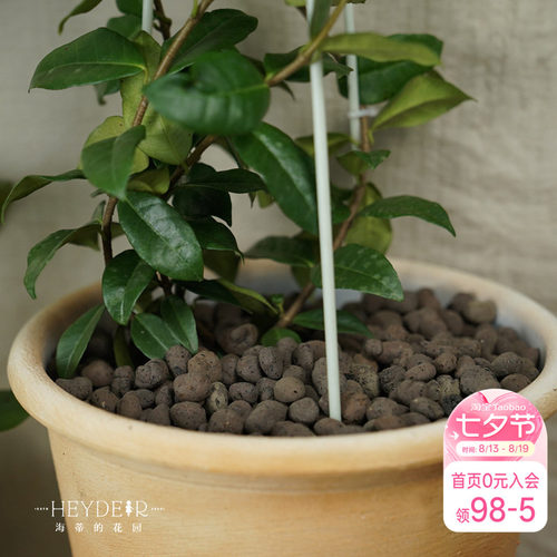 海蒂的花园 铺面陶粒花盆铺面石盆栽绿植花卉兰花垫底透气防烂根
