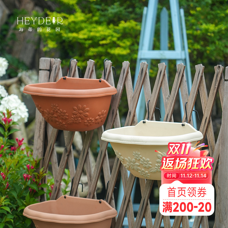 挂盆天竺葵垂吊简约耐用