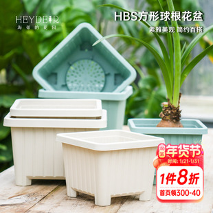 海蒂的花园方形球根花盆树脂盆朱顶红郁金香种球植物种植盆塑料盆