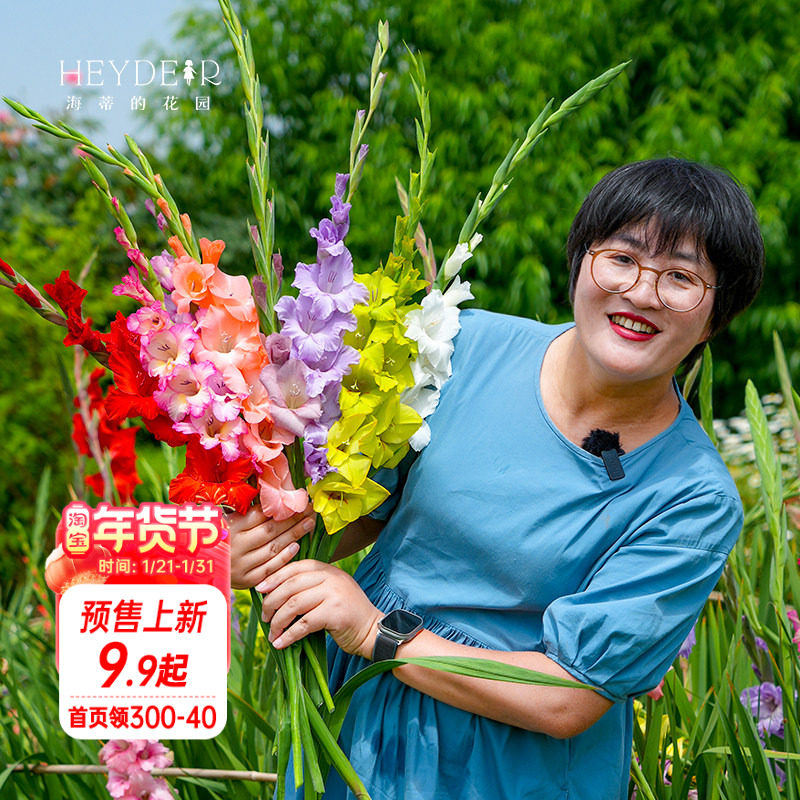 海蒂的花园剑兰种球唐菖蒲庭院阳台花卉盆栽地栽切花十三太保,鲜花速递/花卉仿真/绿植园艺,种球/裸根,淘宝优惠券,粉丝福利购,淘宝优惠卷