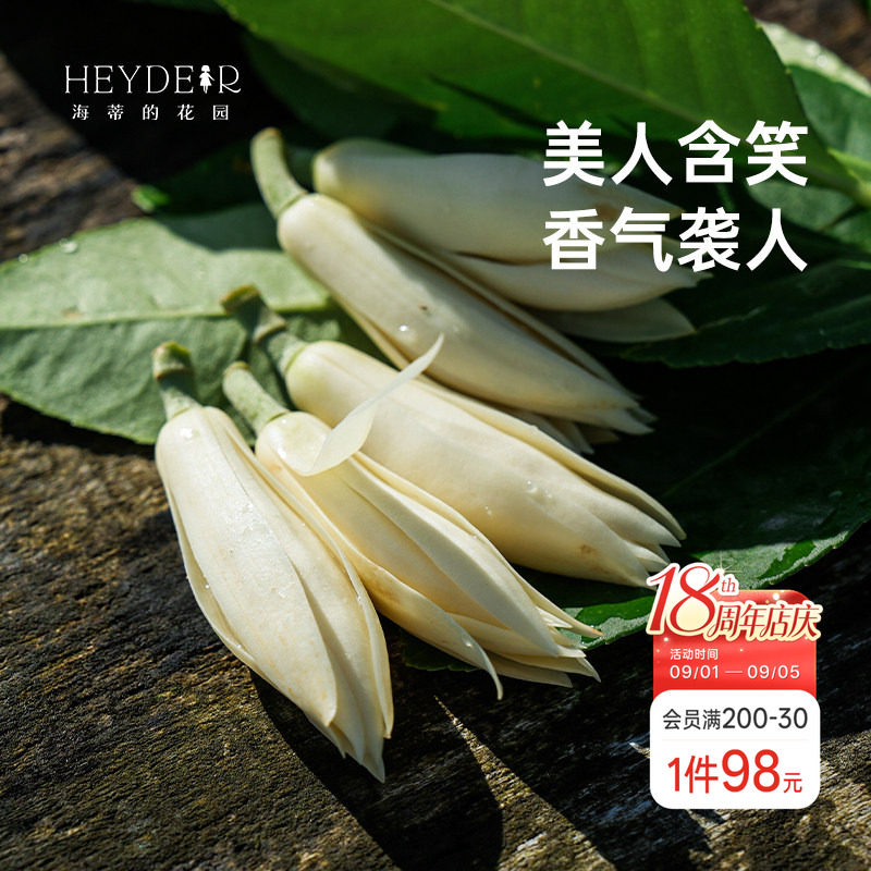 海蒂的花园黄葛兰黄角兰白兰花四川本土植物耐热香味花卉树苗盆栽