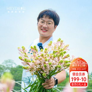 海蒂的花园晚香玉花卉盆栽重瓣夜来香月下香庭院露台室外阳台植物