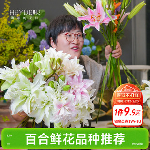 海蒂的花园成都总店 春百合种球鲜切花品种重瓣球根庭院盆栽地栽