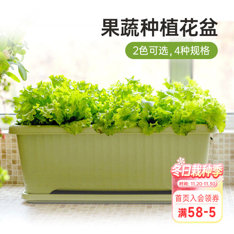 爱丽思果蔬种植盆种花花盆