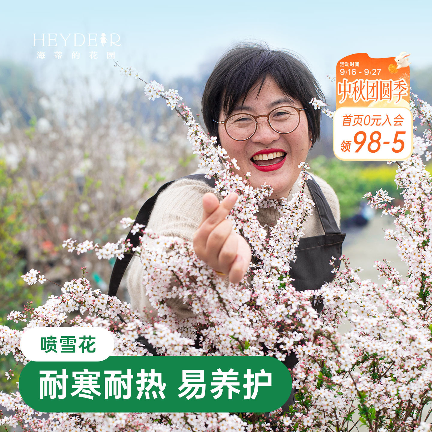 海蒂的花园喷雪花雪柳盆栽锦带绣黄金喷泉线菊溲疏小手球耐寒花卉图片