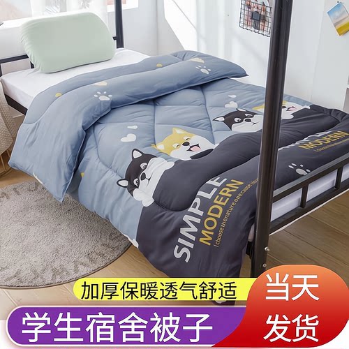 加厚被子亲肤舒适四季通用