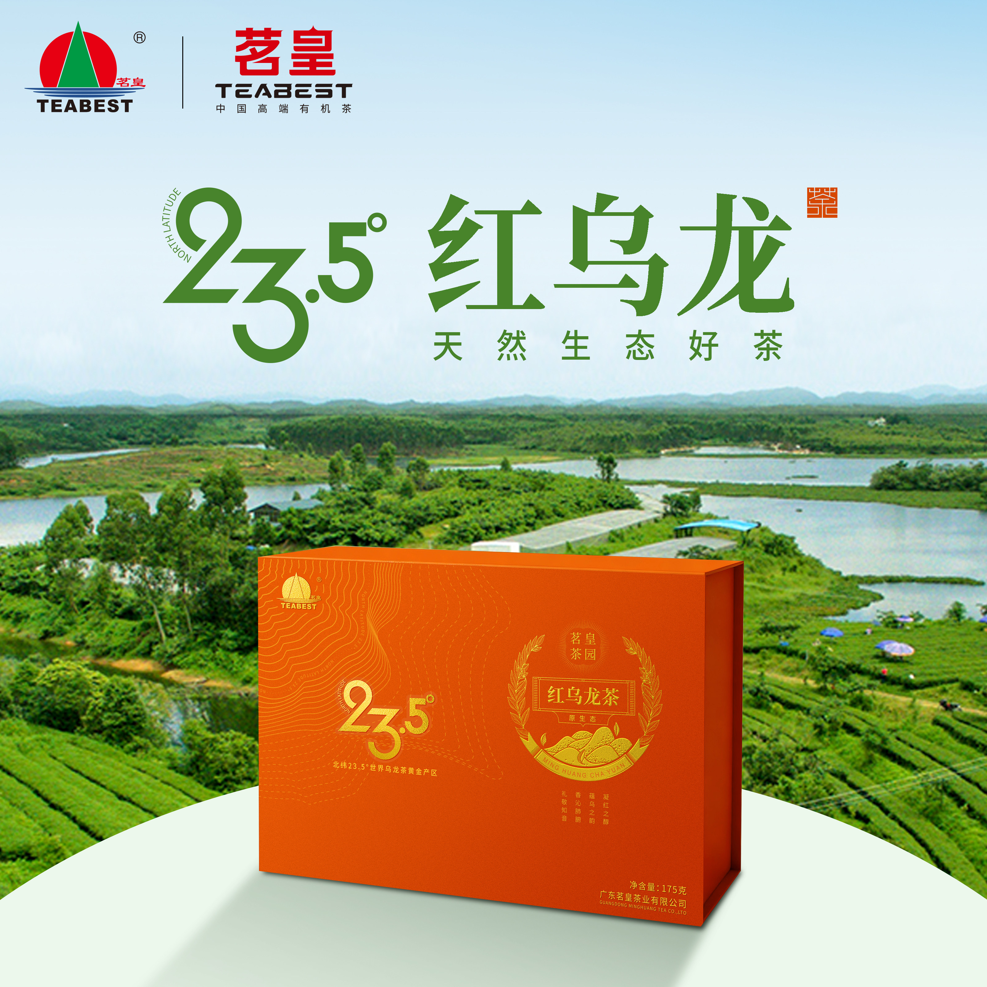 2026新茶茗皇生态有机茶园 一级红乌龙茶 当季新茶 175g 礼盒茶叶