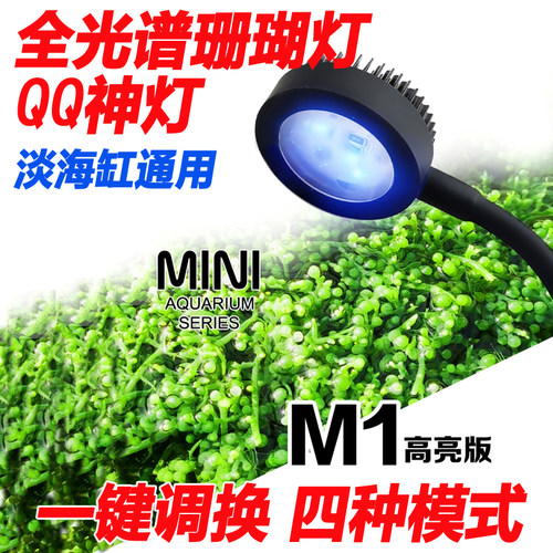 积光藻鱼缸灯小丑鱼海水珊瑚灯