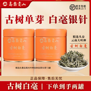 白毫银针2025年新茶叶自己喝礼盒装送人云南白茶高黎贡山官方正品