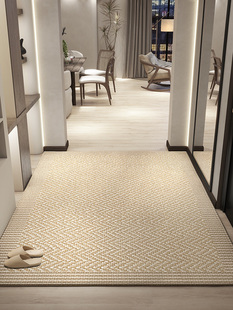 北欧现代客厅地毯门垫进门口玄关脚垫 入户门地垫高端轻奢2023新款