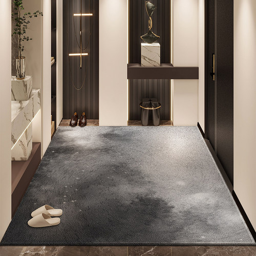 轻奢入户门地垫可擦免洗进门防滑脚垫家用耐脏入户垫客厅高级地毯