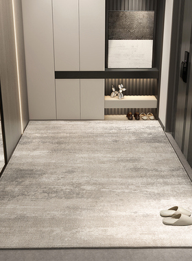 入户门口地毯高级感别墅进门地垫免洗耐脏入户门脚垫入门门垫新款