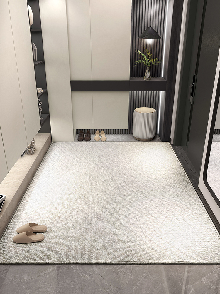 轻奢入户门地垫简约现代进门可擦免洗可裁剪垫子门口门垫家用地毯