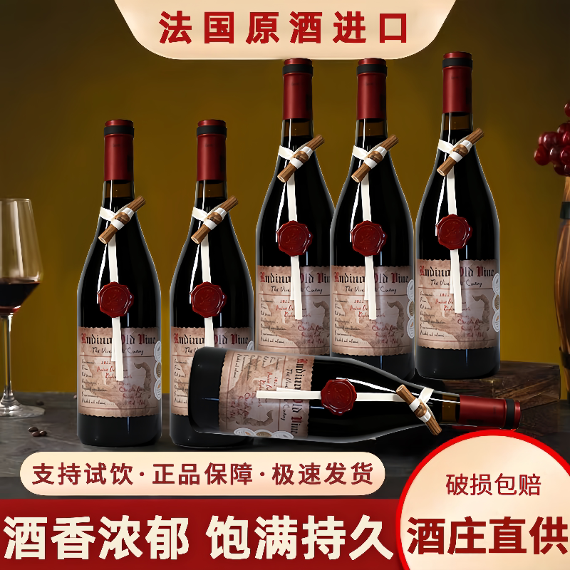 鲁迪诺法国红酒世纪之藤干红葡萄酒15度750ml*2支装节日精美礼盒
