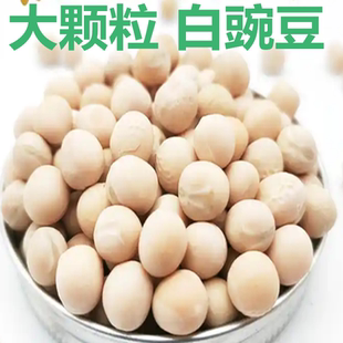 四川新货生豌豆粒500g可炖汤大颗粒白干豌豆可发豆芽5斤批发