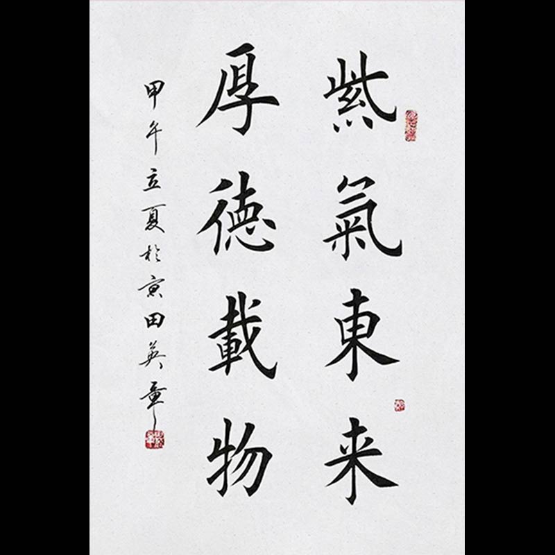 田英章字画手写作品紫气东来竖幅毛笔书法客厅书房办公室装饰画-封面