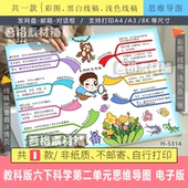 电子版 教科版 多样性思维导图模版 生物 线稿 六年级下科学第二单元