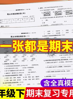 期末冲刺100分二年级下期末考试100分语文数学人教部编办小学生课堂达标单元测试100分考试卷子练习小学二年级下册试卷测试卷全套