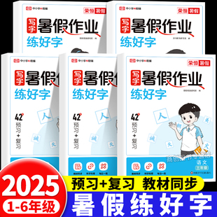 暑假練好字一升二升三升四升五升六年級小學暑假銜接作業(yè)人教版 2025新版 語文課本同步練字帖小學生專用硬筆書法臨摹練字本每日一練