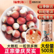 福东海芡实干货500g新鲜肇庆中鸡头米欠实药材茯苓正品 官方旗舰店