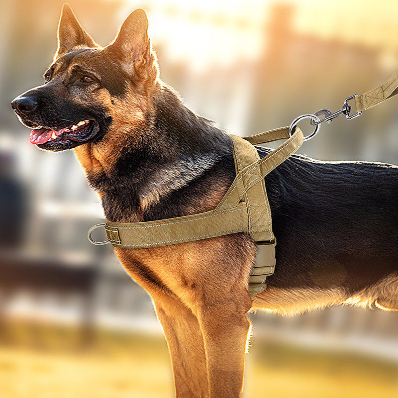 狗抱袋中型心式绳犬德牧脖圈狗狗胸婴大犬背牵引项圈马金毛宠物遛