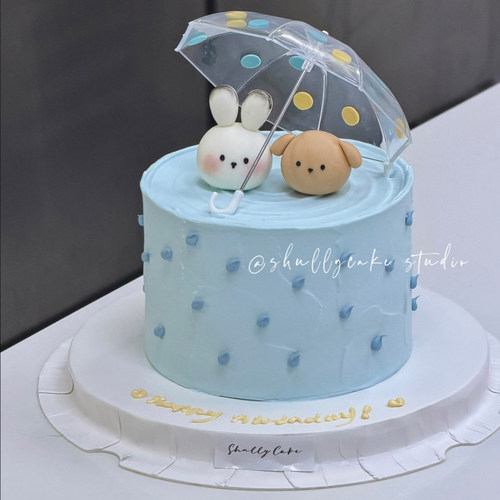 浪漫下雨天生日蛋糕装饰
