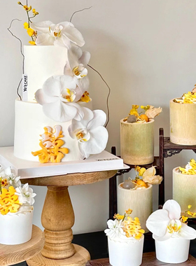 简约淡雅黄白色系结婚订婚甜品台蛋糕装饰仿真枯树枝叶蝴蝶兰竹筒