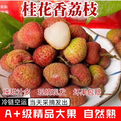 空运速达超甜桂花香荔枝礼盒