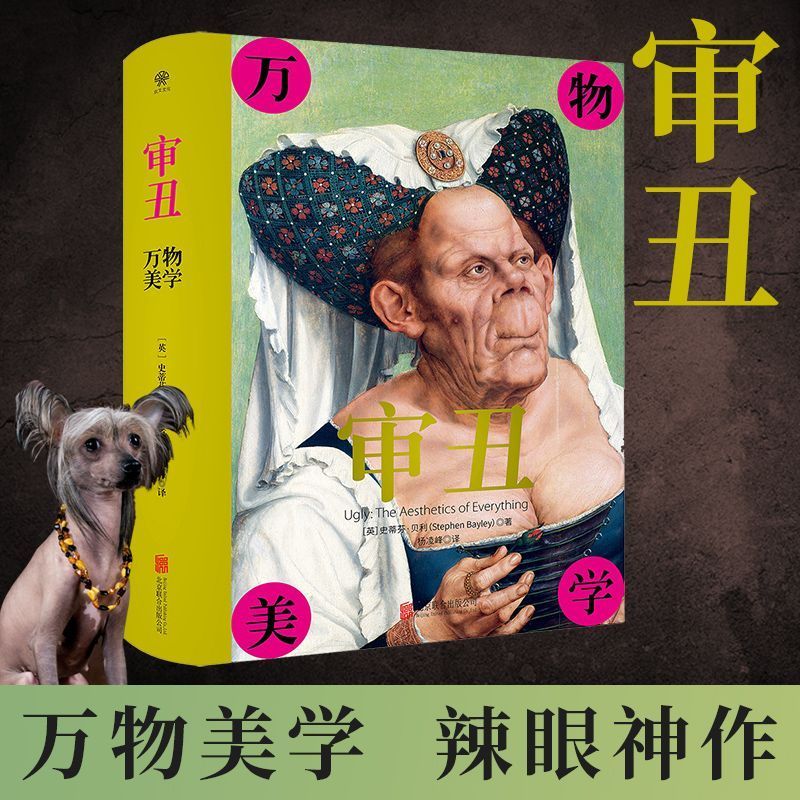 正版 审丑 万物美学 探讨审美与审丑的图文作当代设计挑战传统审美艺术