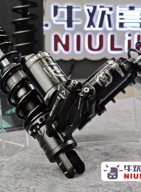 DSF SR04 双可调 后减震 小牛NXT/FX风速 九号M5 M395C 极核AE4 5