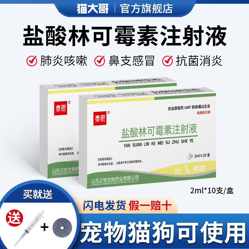 鼻支感冒肺炎可雾化盐酸林可霉素