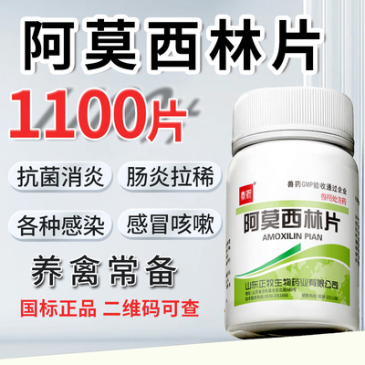 阿莫西林片1100片鸭鸡病咳嗽感冒