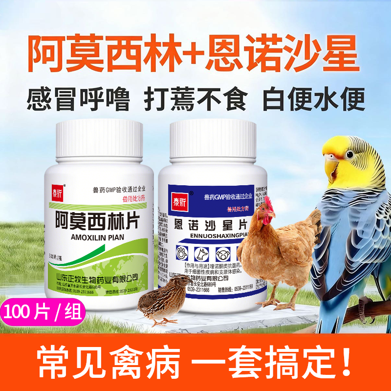 恩诺沙星兽用鸡鸭禽一片感冒消炎