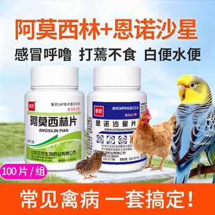 恩诺沙星兽用鸡药片养鸡专用药鸡鸭鹅咳嗽拉稀阿莫西林鸡用消炎药
