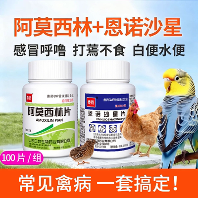 恩诺沙星兽用鸡鸭禽一片感冒消炎