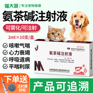 兽药氨茶碱注射液宠物气喘扩张气管平喘狗狗猫咪呼吸道疾病雾化药