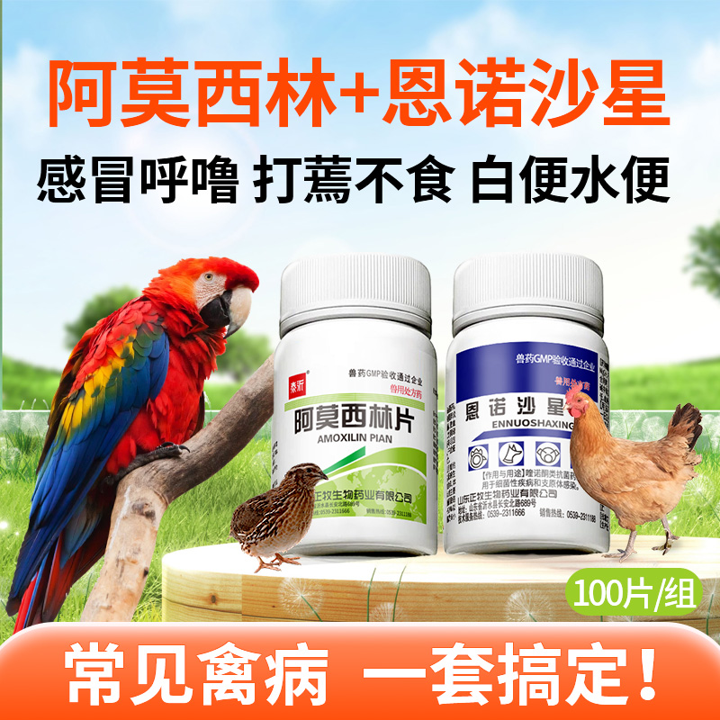 阿莫西林鸡鸭鹅鸟用鹦鹉玄凤鸡药