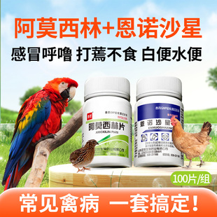 阿莫西林鸡鸭鹅兽用恩诺沙星鸡药家禽养鸡专用兽药鹦鹉鸽拉稀感冒