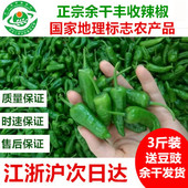 5斤江西特产正宗余干丰收辣椒新鲜农家现摘枫树辣椒青椒土辣椒