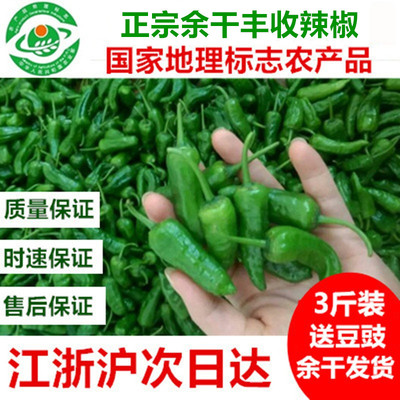 5斤正宗余干小辣椒丰收辣椒现摘